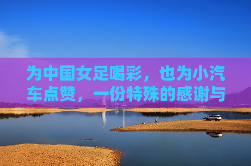 为中国女足喝彩，也为小汽车点赞，一份特殊的感谢与期许——当拼搏精神照亮日常出行