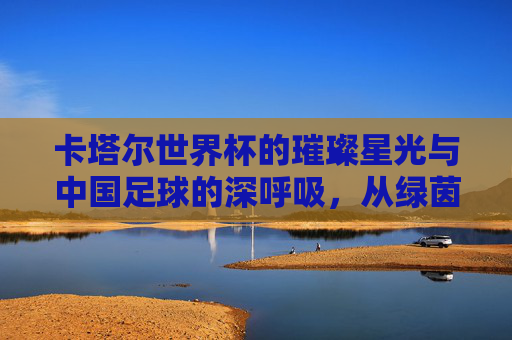 卡塔尔世界杯的璀璨星光与中国足球的深呼吸，从绿茵场到梦想的跨越