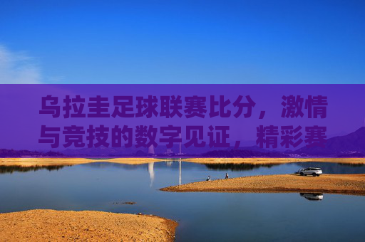 乌拉圭足球联赛比分，激情与竞技的数字见证，精彩赛事尽在掌握