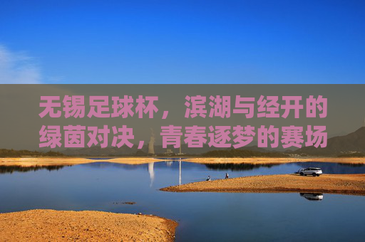 无锡足球杯，滨湖与经开的绿茵对决，青春逐梦的赛场交响，无锡足球杯，滨湖与经开的绿茵对决，青春逐梦的赛场交响