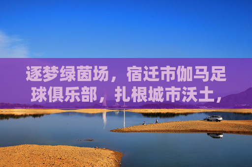逐梦绿茵场，宿迁市伽马足球俱乐部，扎根城市沃土，绽放足球芳华