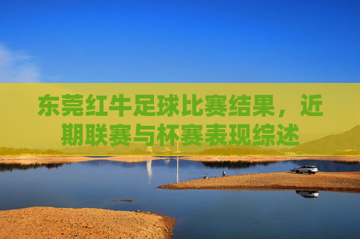 东莞红牛足球比赛结果，近期联赛与杯赛表现综述