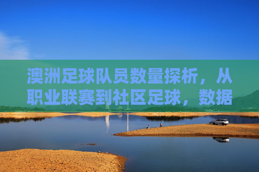 澳洲足球队员数量探析，从职业联赛到社区足球，数据背后的足球生态