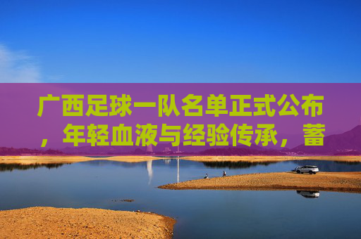 广西足球一队名单正式公布,年轻血液与经验传承,蓄势待发迎新挑战,广西足球一队名单正式公布,年轻血液与经验传承,蓄势待发迎新挑战