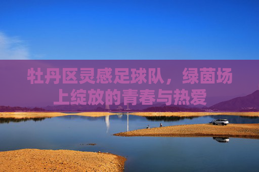 牡丹区灵感足球队,绿茵场上绽放的青春与热爱
