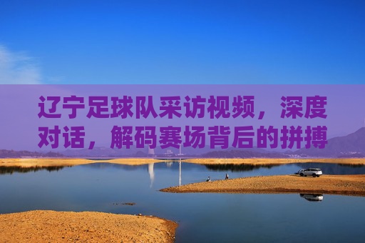 辽宁足球队采访视频,深度对话,解码赛场背后的拼搏与传承