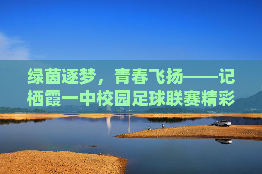 绿茵逐梦，青春飞扬——记栖霞一中校园足球联赛精彩纪实