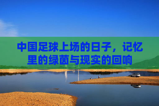 中国足球上场的日子，记忆里的绿茵与现实的回响