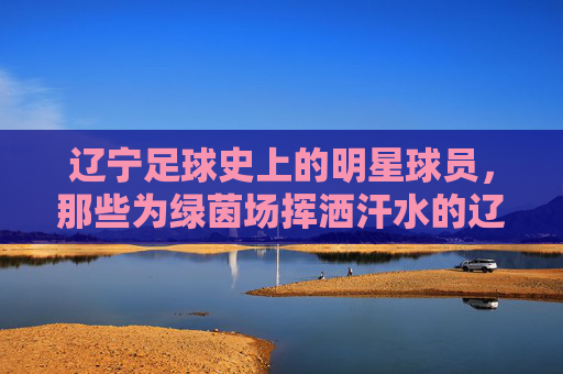 辽宁足球史上的明星球员，那些为绿茵场挥洒汗水的辽足传奇