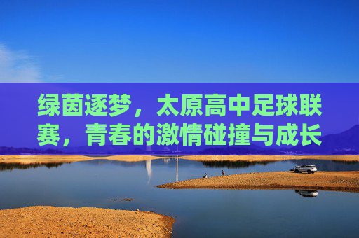 绿茵逐梦，太原高中足球联赛，青春的激情碰撞与成长足迹，绿茵逐梦，太原高中足球联赛里的青春碰撞与成长足迹