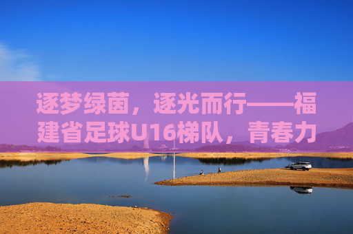 逐梦绿茵，逐光而行——福建省足球U16梯队，青春力量与未来希望