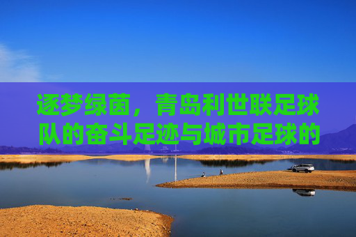 逐梦绿茵，青岛利世联足球队的奋斗足迹与城市足球的青春活力