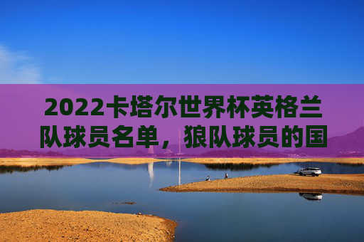 2022卡塔尔世界杯英格兰队球员名单,狼队球员的国家队印记与世界杯征程
