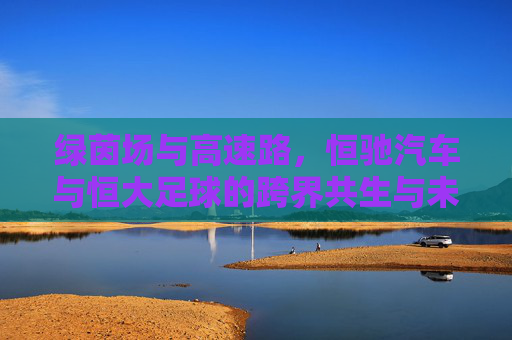 绿茵场与高速路,恒驰汽车与恒大足球的跨界共生与未来图景