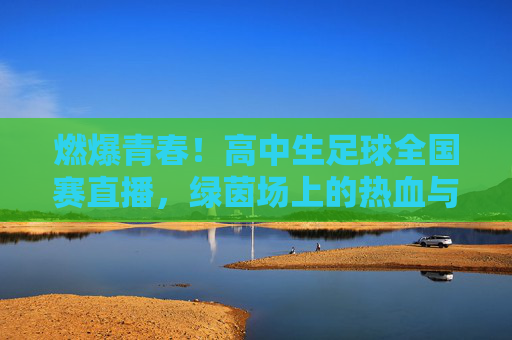 燃爆青春!高中生足球全国赛直播,绿茵场上的热血与梦想,燃爆青春!高中生足球全国赛直播,绿茵场上的热血与梦想