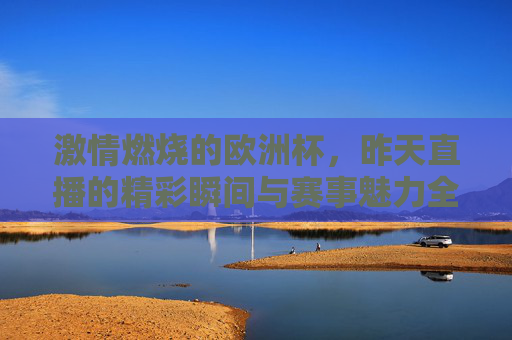 激情燃烧的欧洲杯,昨天直播的精彩瞬间与赛事魅力全记录