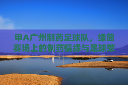 甲A广州制药足球队，绿茵赛场上的制药情缘与足球荣光