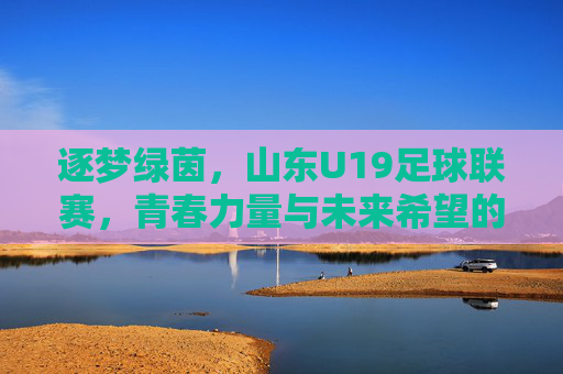 逐梦绿茵,山东U19足球联赛,青春力量与未来希望的碰撞