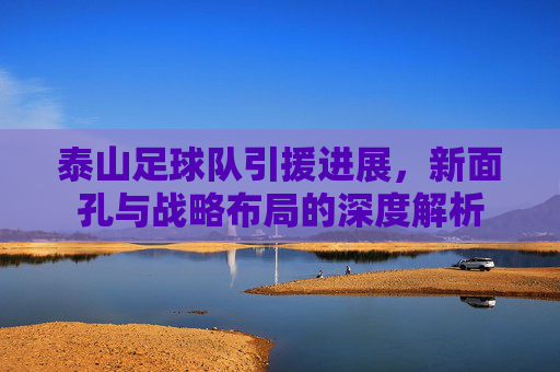 泰山足球队引援进展,新面孔与战略布局的深度解析