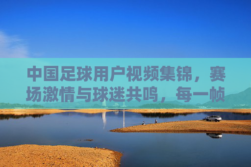 中国足球用户视频集锦,赛场激情与球迷共鸣,每一帧都是足球魂的注脚