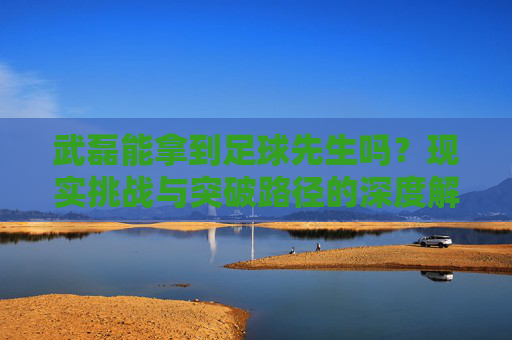 武磊能拿到足球先生吗?现实挑战与突破路径的深度解析