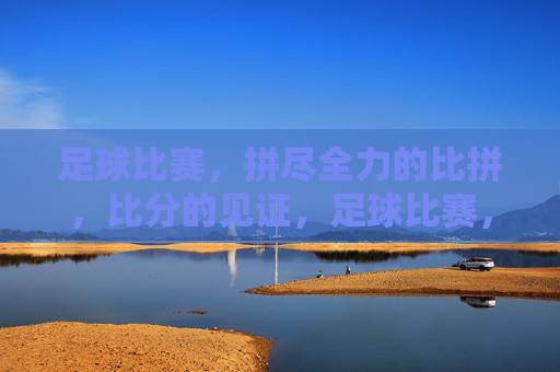 足球比赛,拼尽全力的比拼,比分的见证,足球比赛,拼尽全力的比拼,比分的见证