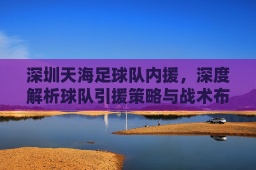 深圳天海足球队内援，深度解析球队引援策略与战术布局，深圳天海足球队内援深度解析，引援策略与战术布局剖析