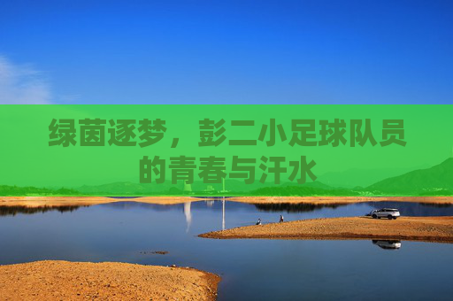 绿茵逐梦，彭二小足球队员的青春与汗水