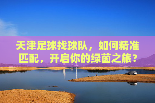 天津足球找球队,如何精准匹配,开启你的绿茵之旅?