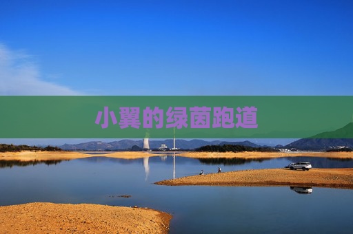 小翼的绿茵跑道