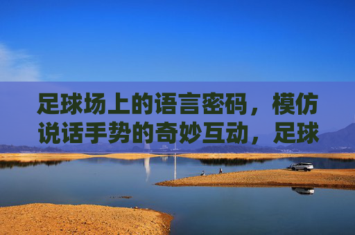 足球场上的语言密码,模仿说话手势的奇妙互动,足球场上的语言密码,模仿说话手势的奇妙互动