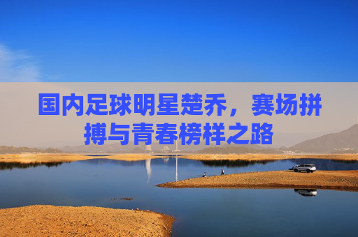 国内足球明星楚乔，赛场拼搏与青春榜样之路