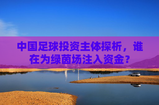中国足球投资主体探析，谁在为绿茵场注入资金？