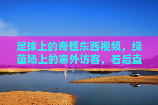 足球上的奇怪东西视频，绿茵场上的意外访客，看后直呼这球咋来的？足球上的奇怪东西视频，绿茵场上的意外访客，看后直呼这球咋来的？