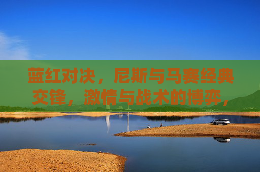 蓝红对决,尼斯与马赛经典交锋,激情与战术的博弈,蓝红对决,尼斯与马赛经典交锋的激情与战术博弈