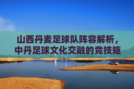 山西丹麦足球队阵容解析,中丹足球文化交融的竞技矩阵,山西丹麦足球队阵容解析,中丹足球文化交融的竞技矩阵