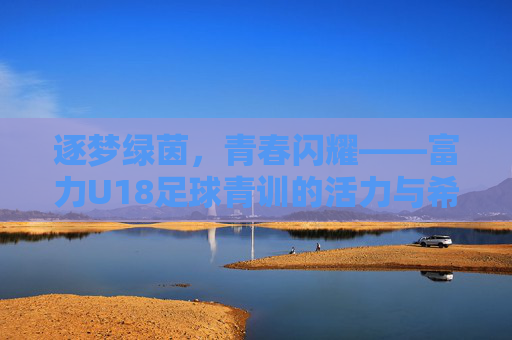 逐梦绿茵，青春闪耀——富力U18足球青训的活力与希望，逐梦绿茵，青春闪耀——富力U18足球青训的活力与希望