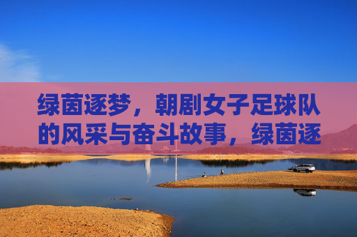 绿茵逐梦，朝剧女子足球队的风采与奋斗故事，绿茵逐梦，朝剧女子足球队的风采与奋斗故事