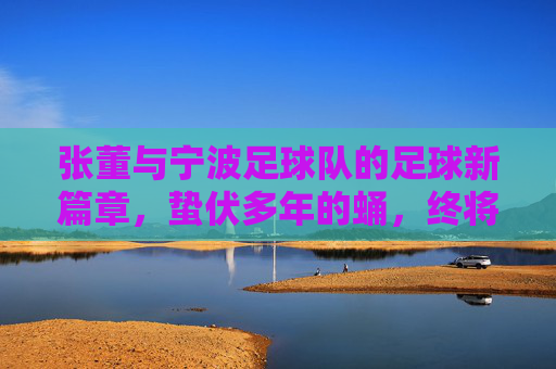 张董与宁波足球队的足球新篇章，蛰伏多年的蛹，终将破茧成蝶，张董与宁波足球队共启足球新篇章，蛰伏多年的蛹，终将破茧成蝶