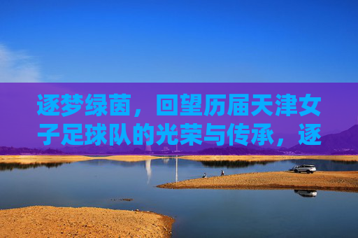 逐梦绿茵，回望历届天津女子足球队的光荣与传承，逐梦绿茵，回望历届天津女子足球队的光荣与传承