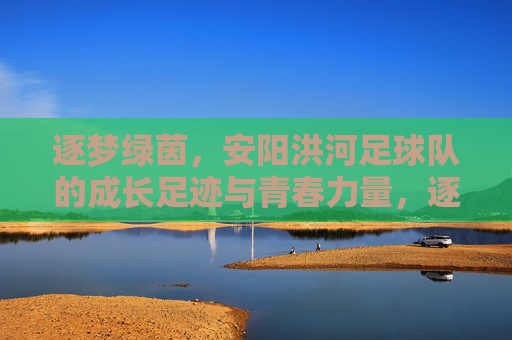 逐梦绿茵,安阳洪河足球队的成长足迹与青春力量,逐梦绿茵,安阳洪河足球队的成长足迹与青春力量