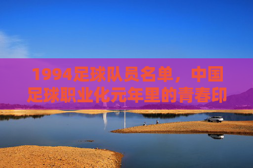 1994足球队员名单,中国足球职业化元年里的青春印记与时代烙印,1994足球队员名单,中国足球职业化元年里的青春印记与时代烙印