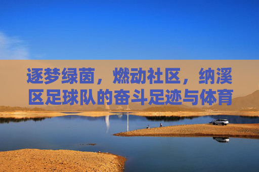 逐梦绿茵，燃动社区，纳溪区足球队的奋斗足迹与体育精神，逐梦绿茵，燃动社区，纳溪区足球队的奋斗足迹与体育精神