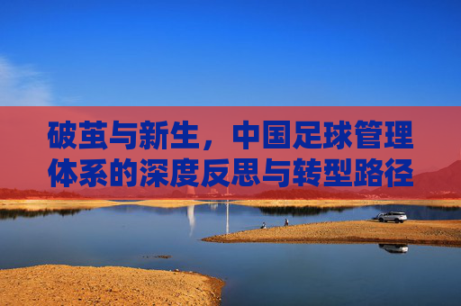 破茧与新生,中国足球管理体系的深度反思与转型路径,破茧与新生,中国足球管理体系的深度反思与转型路径
