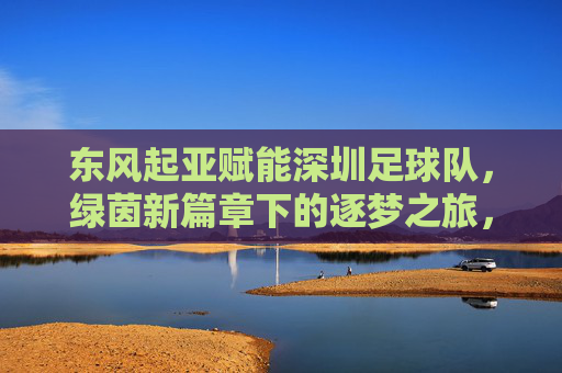 东风起亚赋能深圳足球队，绿茵新篇章下的逐梦之旅，东风起亚赋能深圳足球队，绿茵新篇章下的逐梦之旅