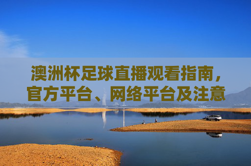 澳洲杯足球直播观看指南,官方平台、网络平台及注意事项