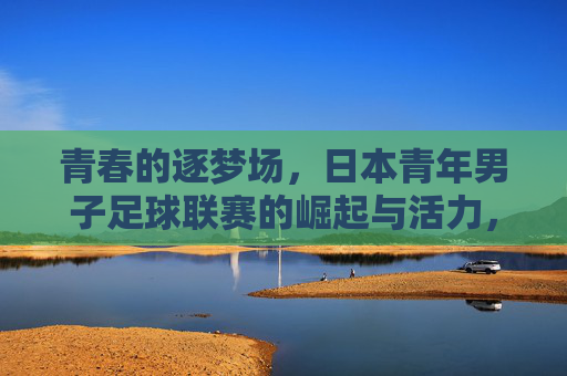 青春的逐梦场，日本青年男子足球联赛的崛起与活力，青春的逐梦场，日本青年男子足球联赛的崛起与活力