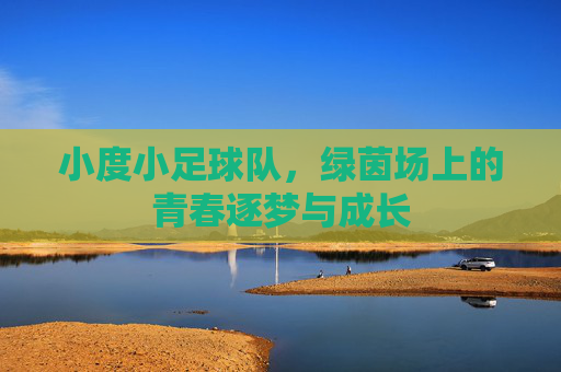 小度小足球队,绿茵场上的青春逐梦与成长