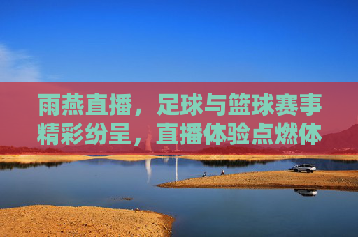 雨燕直播,足球与篮球赛事精彩纷呈,直播体验点燃体育热情