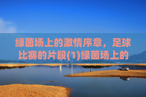 绿茵场上的激情序章，足球比赛的片段(1)绿茵场上的激情序章，足球比赛的片段(1)